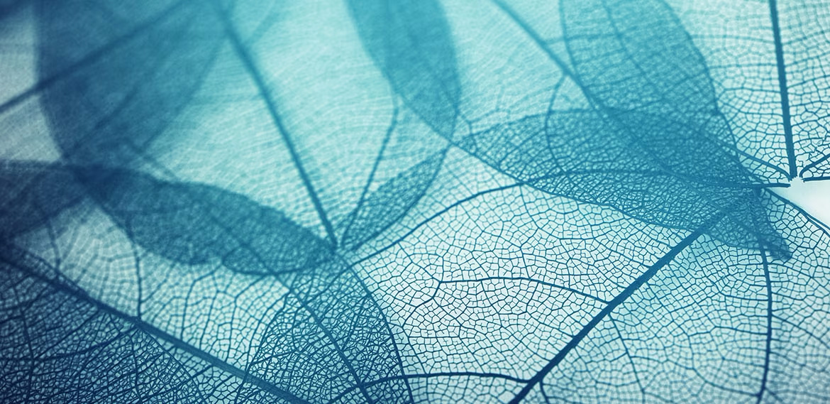 Blueprint Multi Asset Fund webinar One Knightsbridge Capital