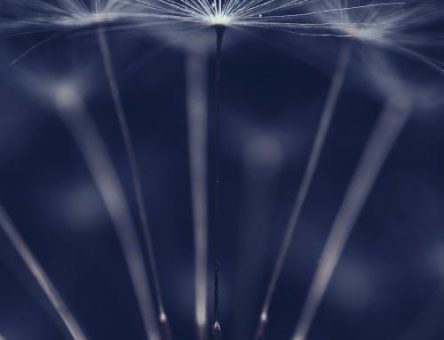 2024-12-12 BM907 Article Image 660x1000 @2x